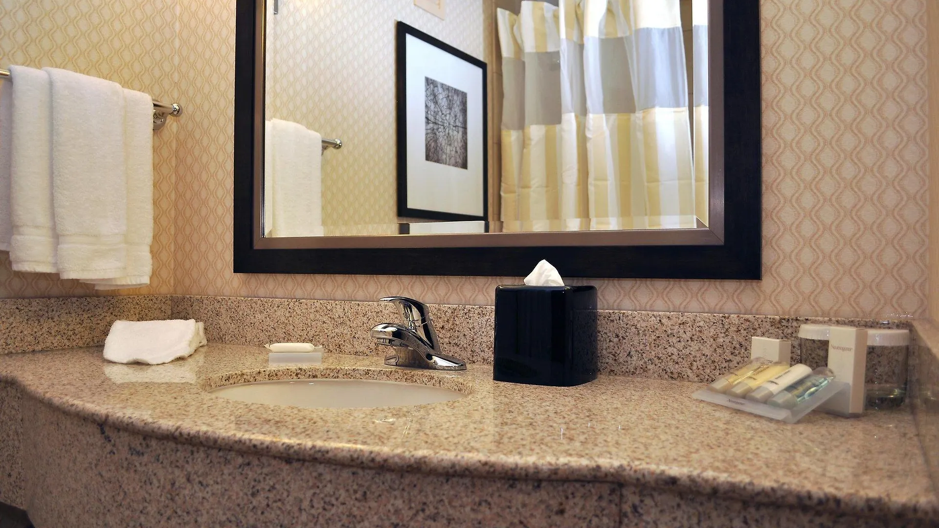 Hilton Garden Inn St. Louis Airport Berkeley Hotel
