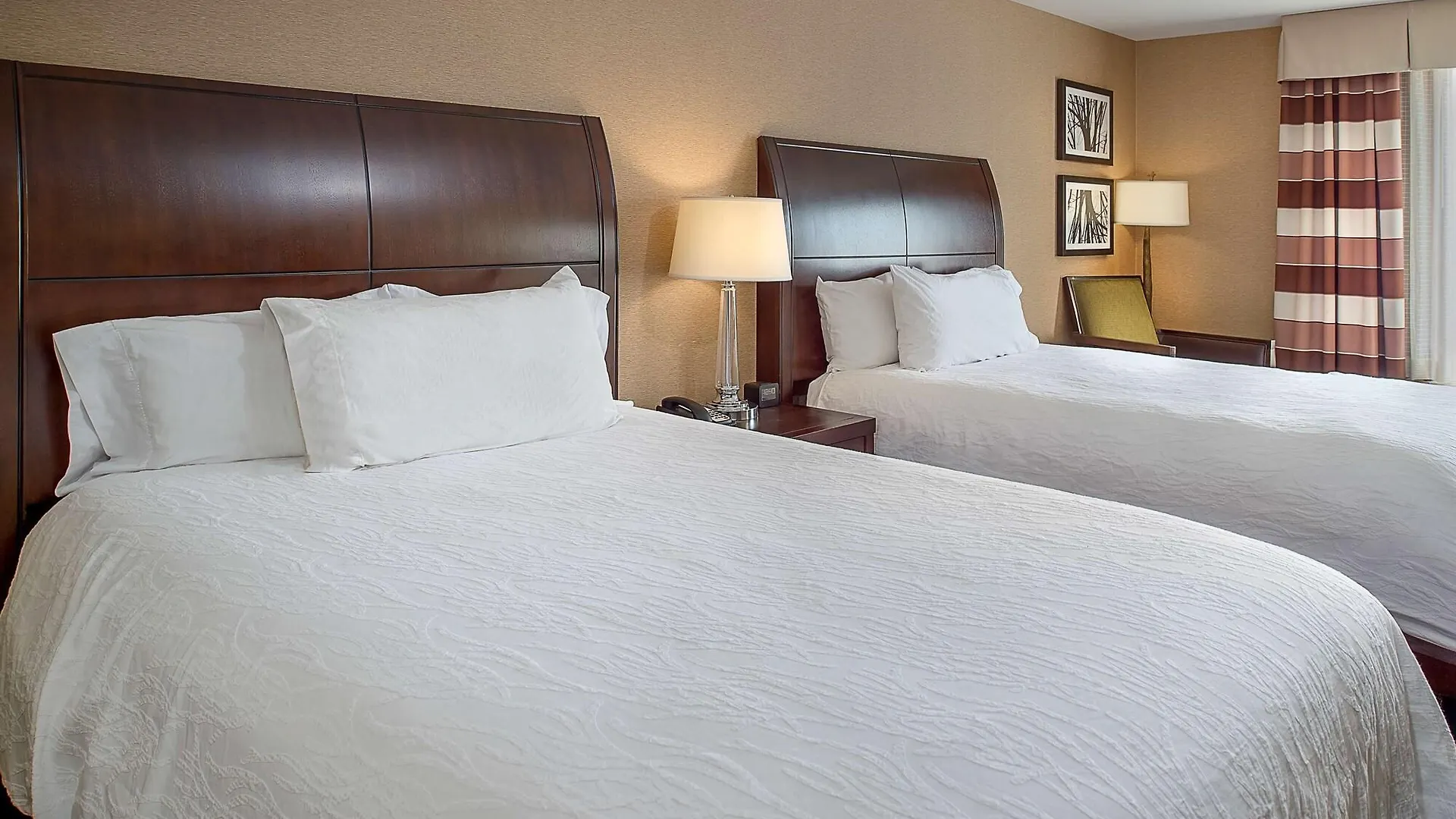 Hilton Garden Inn St. Louis Airport Berkeley