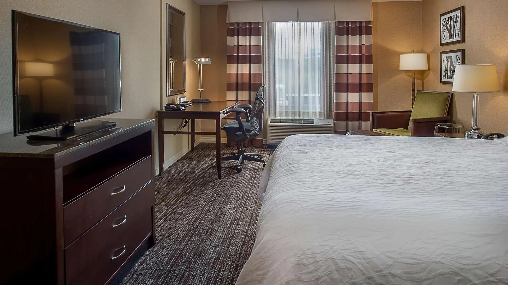 Hilton Garden Inn St. Louis Airport Berkeley