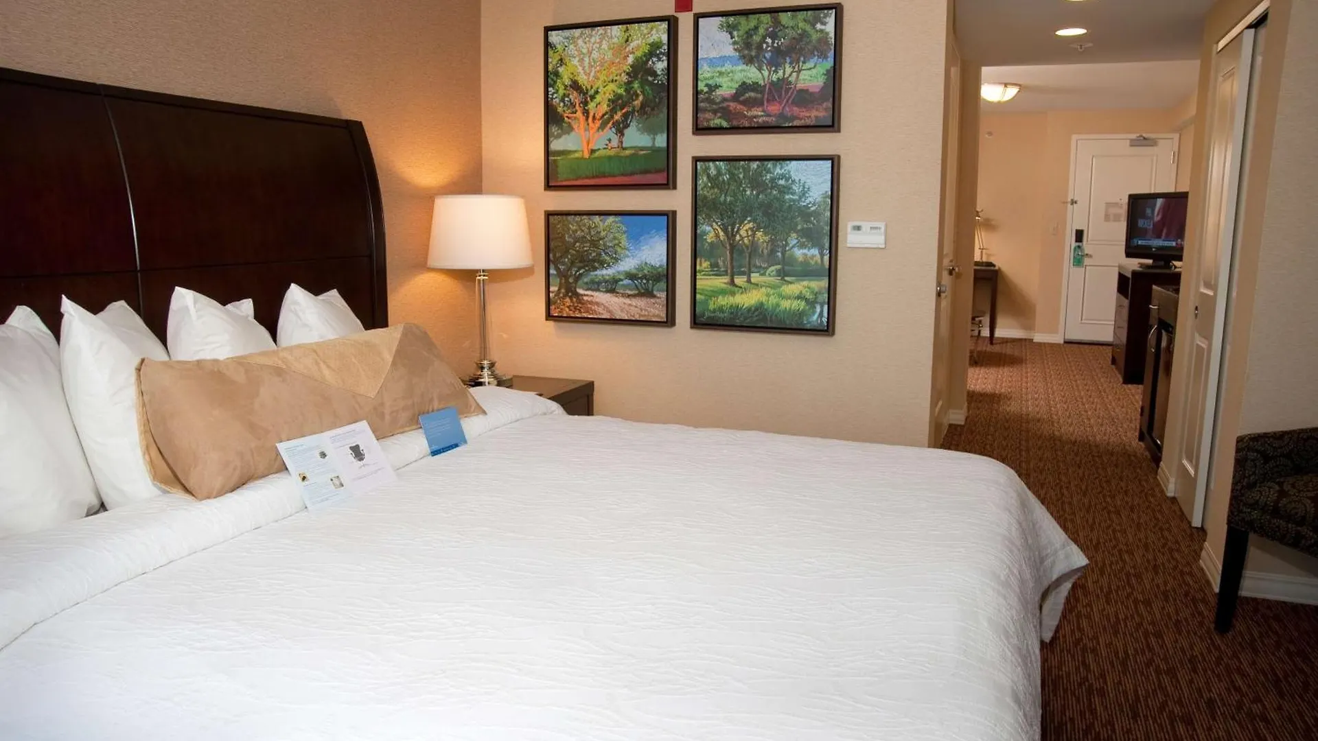 Hotel Hilton Garden Inn St. Louis Airport Berkeley