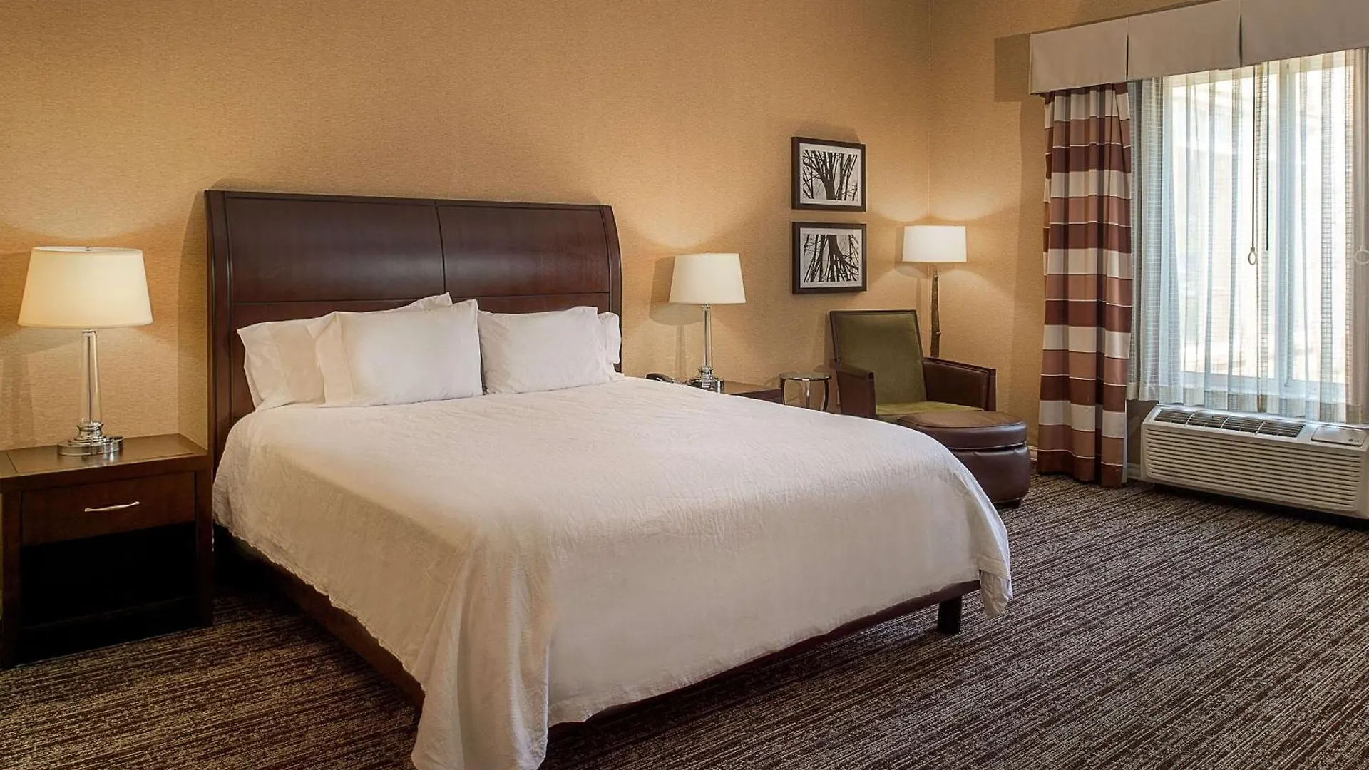 Hilton Garden Inn St. Louis Airport Berkeley