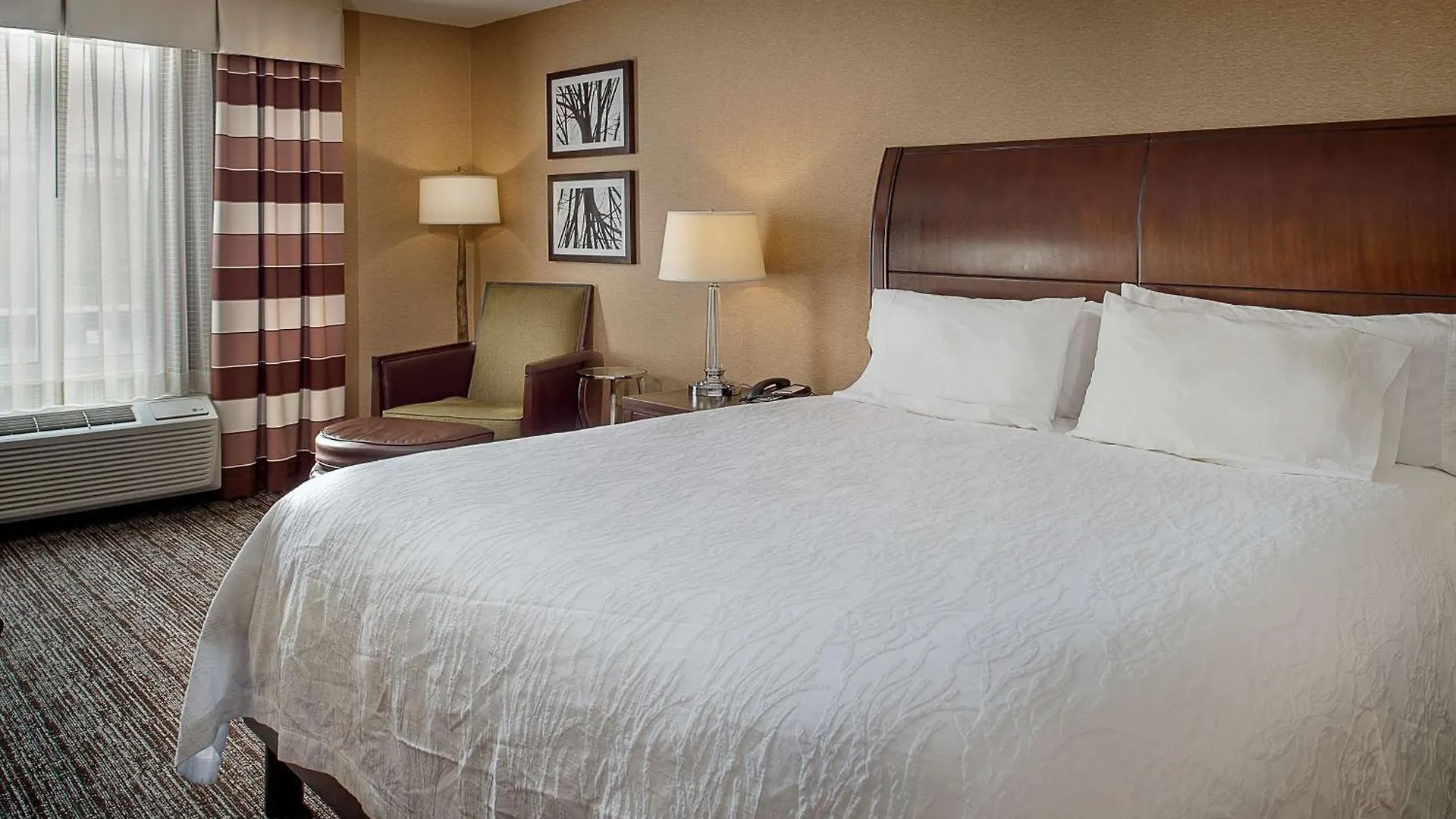 Hotel Hilton Garden Inn St. Louis Airport Berkeley