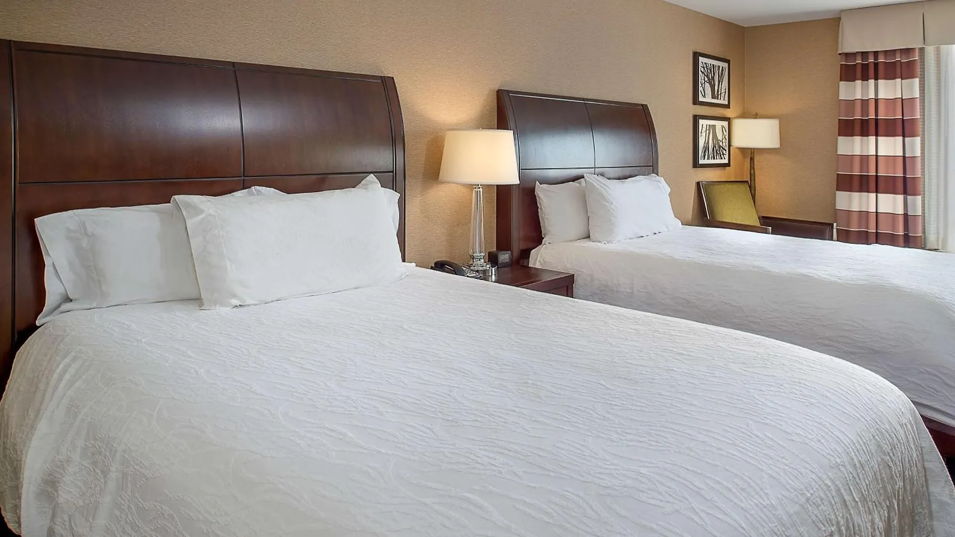 Hilton Garden Inn St. Louis Airport Berkeley United States