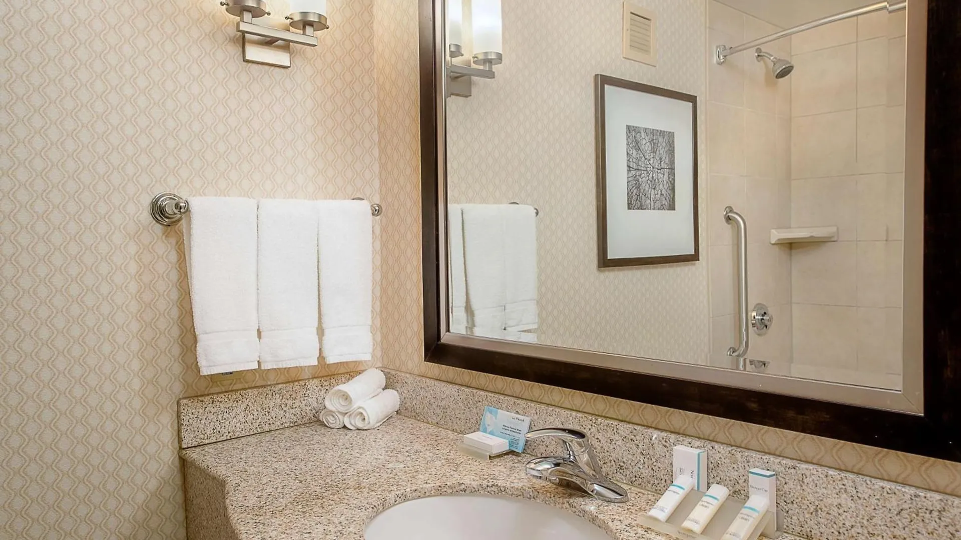 Hilton Garden Inn St. Louis Airport Berkeley