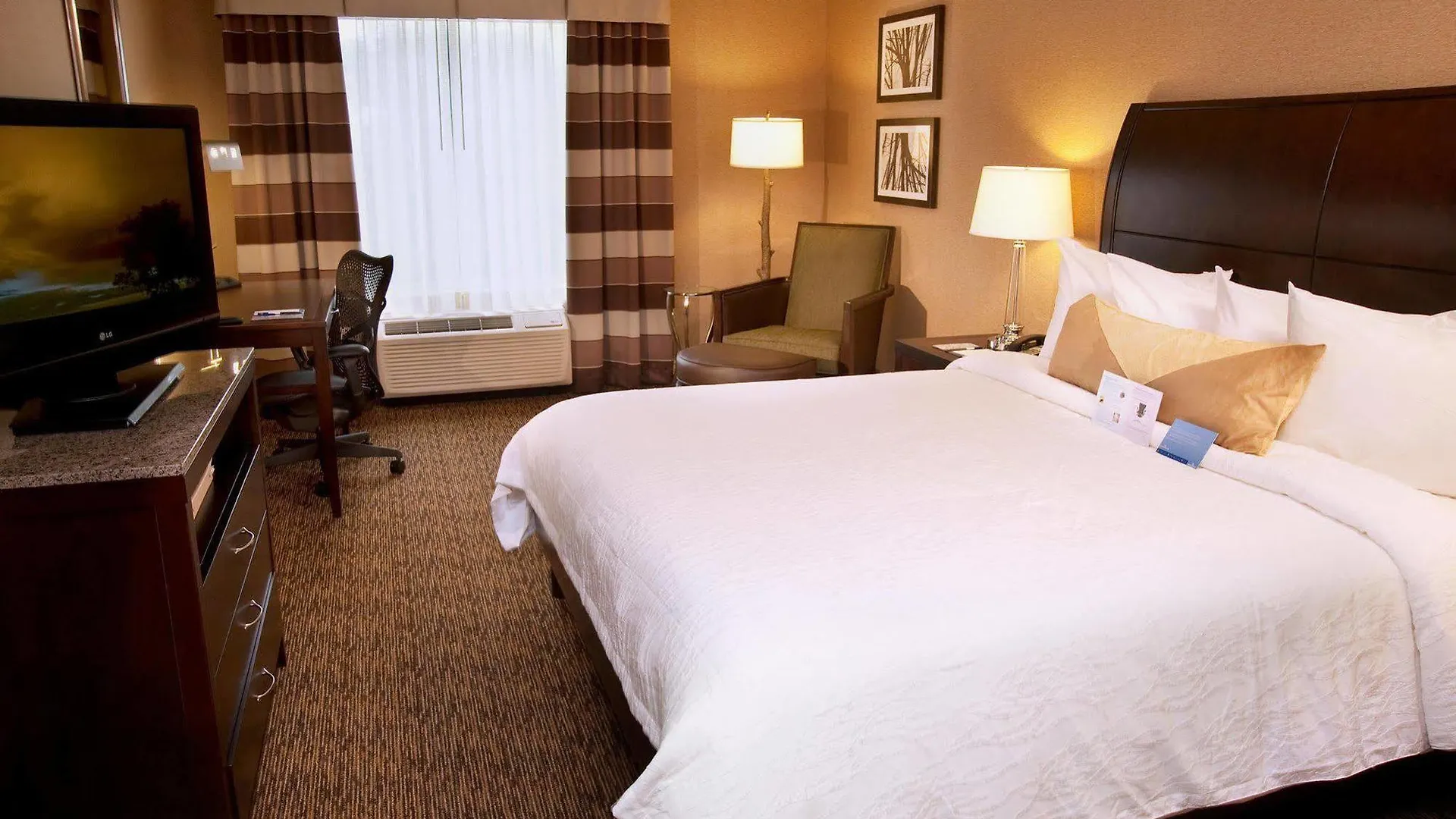 *** Hotel Hilton Garden Inn St. Louis Airport Berkeley United States