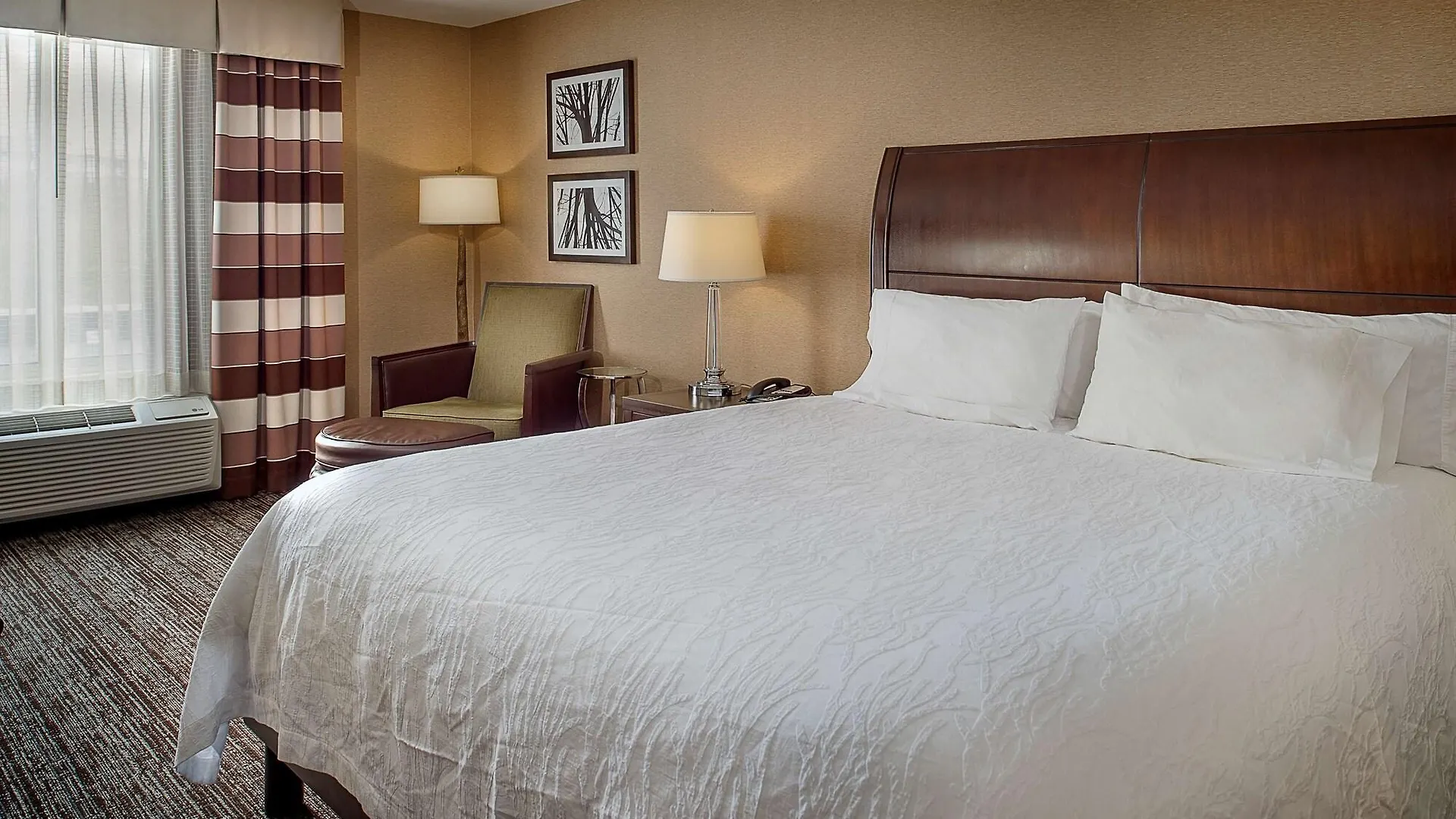 Hilton Garden Inn St. Louis Airport Berkeley USA