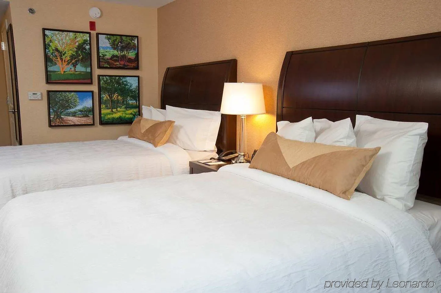 Hilton Garden Inn St. Louis Airport Berkeley USA