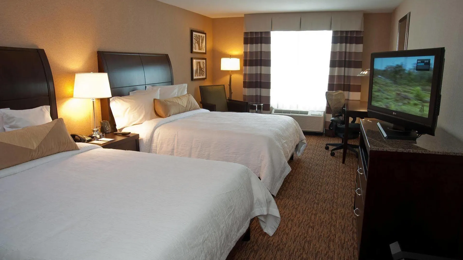 Hilton Garden Inn St. Louis Airport Berkeley