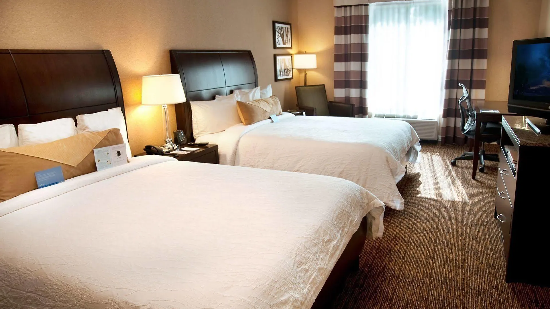 *** Hotel Hilton Garden Inn St. Louis Airport Berkeley USA